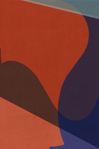 Formas coloridas orgânicas de cartissi