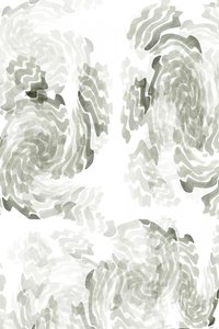 Espirais cinzentas orgânicas de cartissi