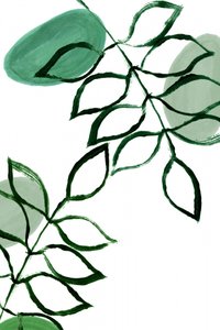 Folhas verdes biológicas de cartissi