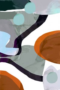 Abstração de Formas Orgânicas de cartissi