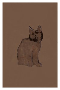 Gato castanho tranquilo de cartissi