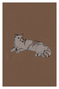 Gato cinzento descontraído de cartissi