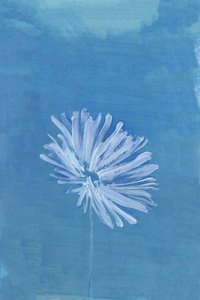 Flor Azul Serena de cartissi