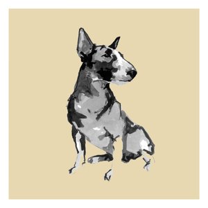 Bull Terrier sentado de cartissi