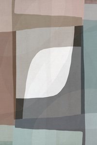Fluxo geométrico suave de cartissi