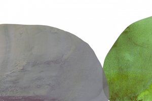 Cinza-esverdeado suave - Abstrato de cartissi