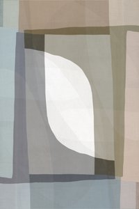 Abstrato Suave e Orgânico de cartissi