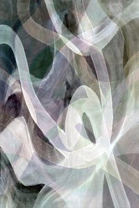 Espirais Suaves e Orgânicas de cartissi