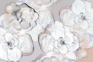 Flores brancas e delicadas de cartissi