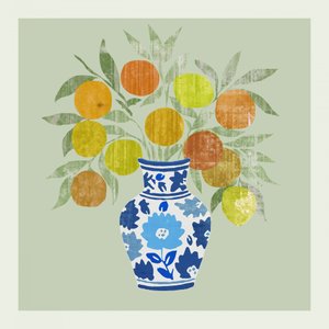 Vaso com citrinos vibrantes de cartissi