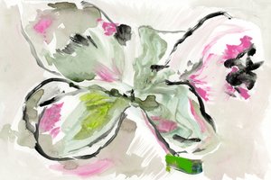 Esboço floral vibrante de cartissi