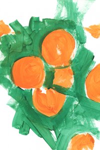 Frutas de laranja vibrante de cartissi