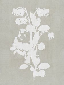Flores brancas de estilo botânico de cartissi