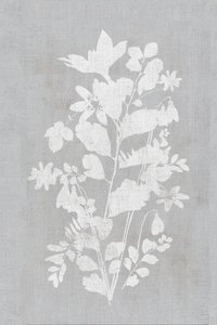 Silhueta floral branca de cartissi