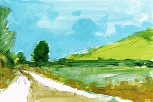 Caminho sinuoso pelo campo de cartissi