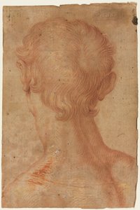 A cabeça do homem de trás de copy after Agnolo Bronzino