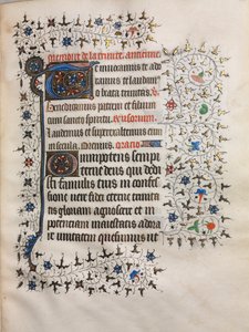 Livro de Horas (Uso de Paris): Inicial Decorada