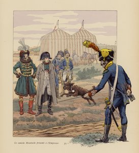 O cão Moustache apresentado a Napoleão (litografia a cores) de pseudonym for Onfray de Breville Jacques Job