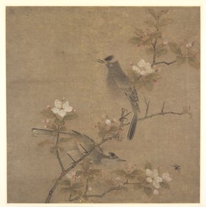 Flores e pássaros de style of Qian Xuan