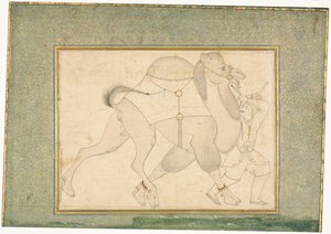 Camelo e Noivo; Ilustração de página única de style of Shaykh Muhammad
