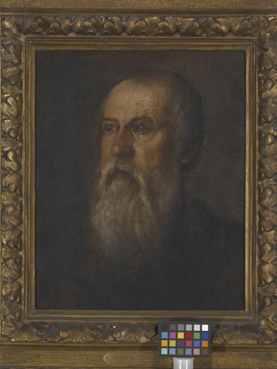 Retrato de um homem barbudo (óleo sobre tela montado a bordo) de (1528 88) Veronese