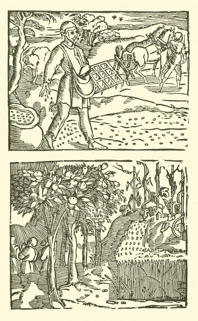Ilustração para As Baladas Roxburghe (xilogravura) de (after) English School