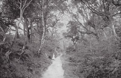 Fairlight Glen (fotografia a preto e branco) de (after) English photographer