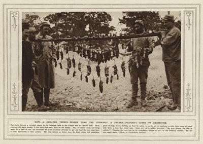 Ratos, uma trincheira maior do que a dos alemães! A captura de um soldado francês em exposição (foto a p/b) de (after) English photographer