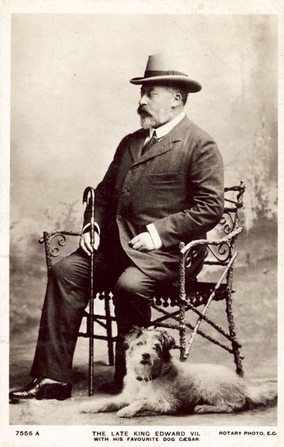 O falecido Rei Eduardo VII, com este cão favorito César (foto a p/b) de (after) English photographer