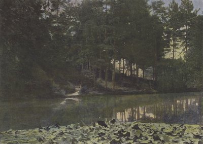 Bois de Boulogne, Le Reservoir (foto colorida) de (after) French Photographer