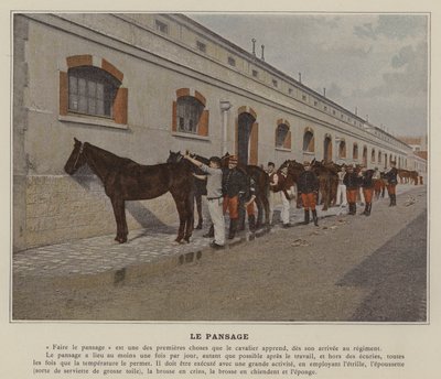 Le Pansage (foto colorida) de (after) French Photographer