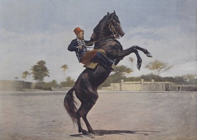 Nos Cavaliers (foto colorida) de (after) French Photographer