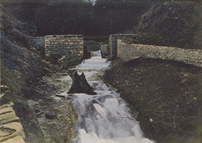 Springs of the Alagnon at Liorant (foto colorida) de (after) French Photographer