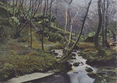 Vaux de Cernay, Les Cascades (foto colorida) de (after) French Photographer