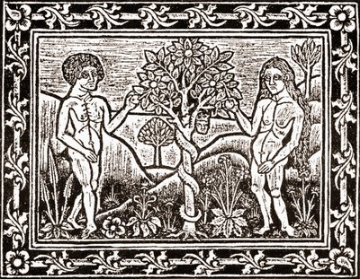 A árvore da qual Adão comeu a maçã, facsimilie de um livro de meditação, o primeiro livro impresso em Albi, Languedoc, em 1481 de (after) French School