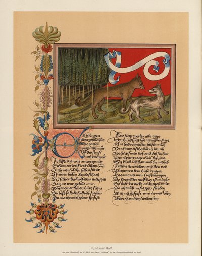 Cão e lobo (litografia a cores) de (after) German School