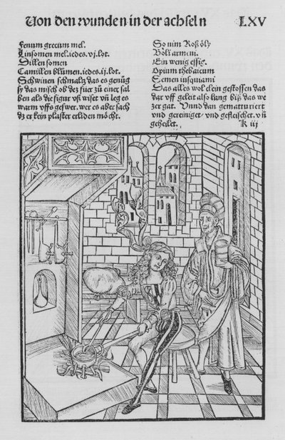 O Livro de Cirurgia de Hieronymus Brunschwig (litho) de (after) German School