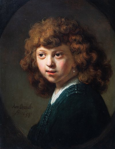 Retrato de um menino de (studio of) Rembrandt Harmensz. van Rijn
