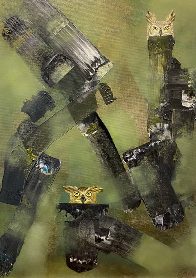 "Noites na floresta" de Laura Anido Serrano