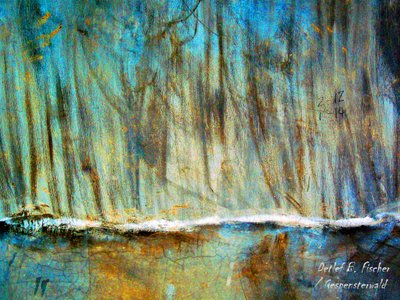 Floresta assombrada de Detlef B. Fischer