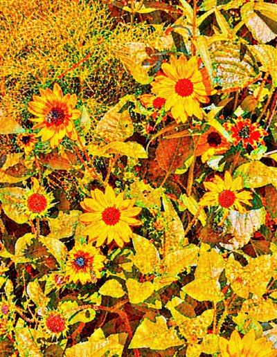 Girassóis para Van Gogh. de Margareta Uliarte