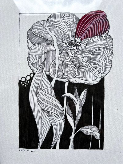 Florescer de Urs Grünenfelder