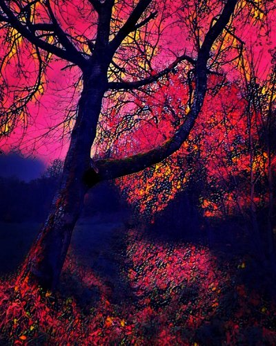 O crepúsculo. de Margareta Uliarte