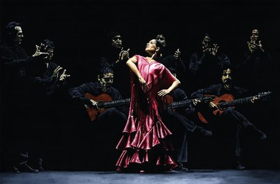 Dançarina de flamenco orgulhosa de Richard Young