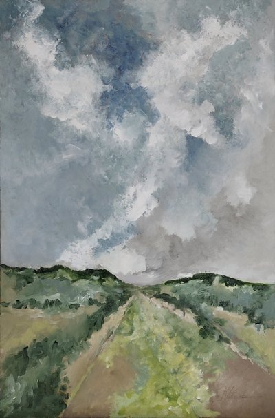 Estrada no verde de M. Vet
