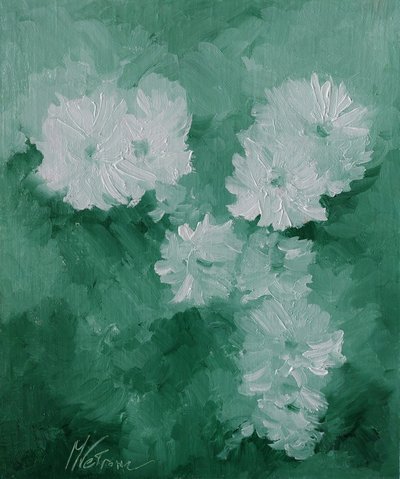 Flores brancas de M. Vet
