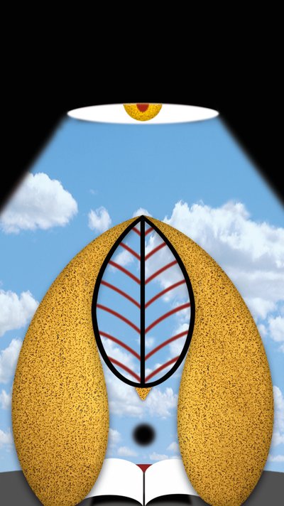 A luz pensativa de Alexander Eibach