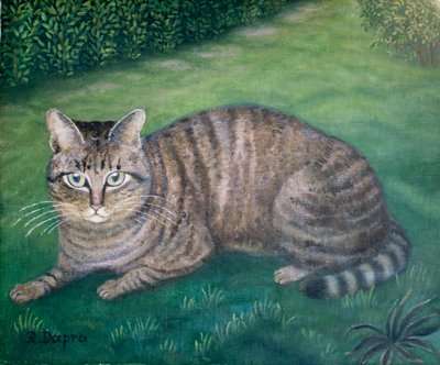 A gata Júlia de Regine Dapra
