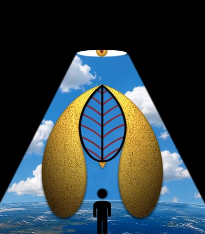 A maravilha azul (da série Clareira) de Alexander Eibach