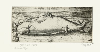 Impressão da baleia lavada perto de Antuérpia, 2 de julho de 1577 de A.B. van Deinse